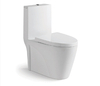 White P Trap Ceramics One Piece Toilet 