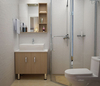 Home Wall-Mounted Washdown One-piece toilet 