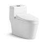 School White Wall-Mounted One Piece Toilet 