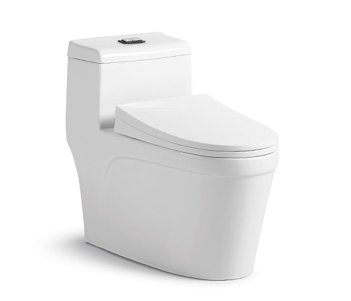 School White Wall-Mounted One Piece Toilet 